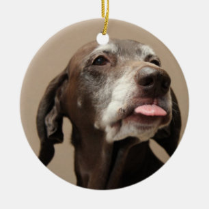 German shorthaired pointer christmas ornament