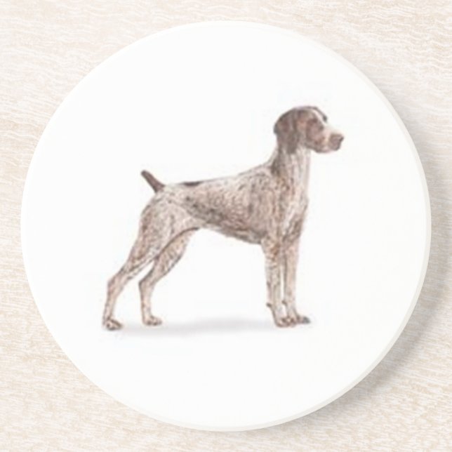 German Shorthaired Pointer Coaster (Front)