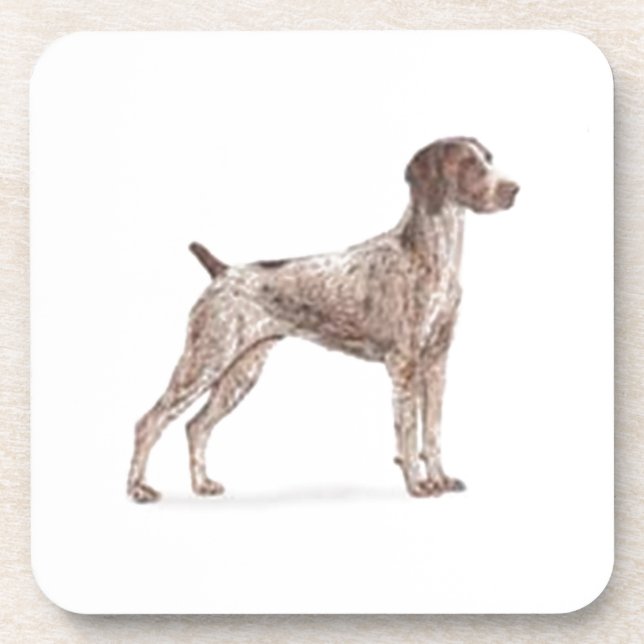 German Shorthaired Pointer Coaster (Front)