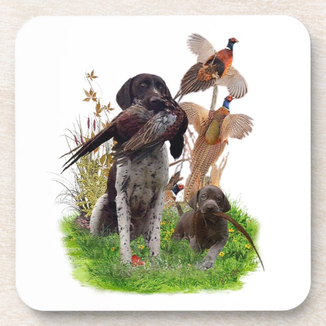 German Shorthaired Pointer  Coaster (Front)