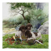 German Shorthaired Pointer cute  puppies 