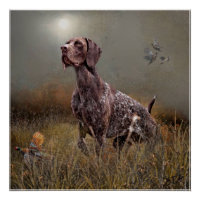 German Shorthaired Pointer ,Deutsch Kurzhaar Tapes