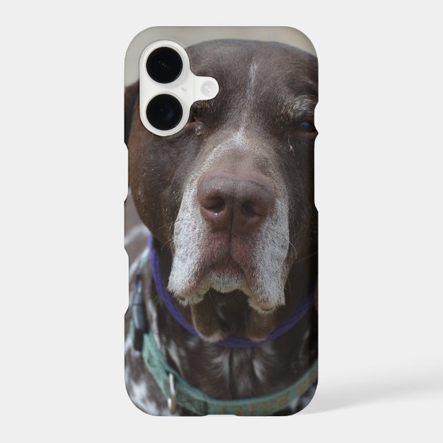German Shorthaired Pointer Dog (Back)