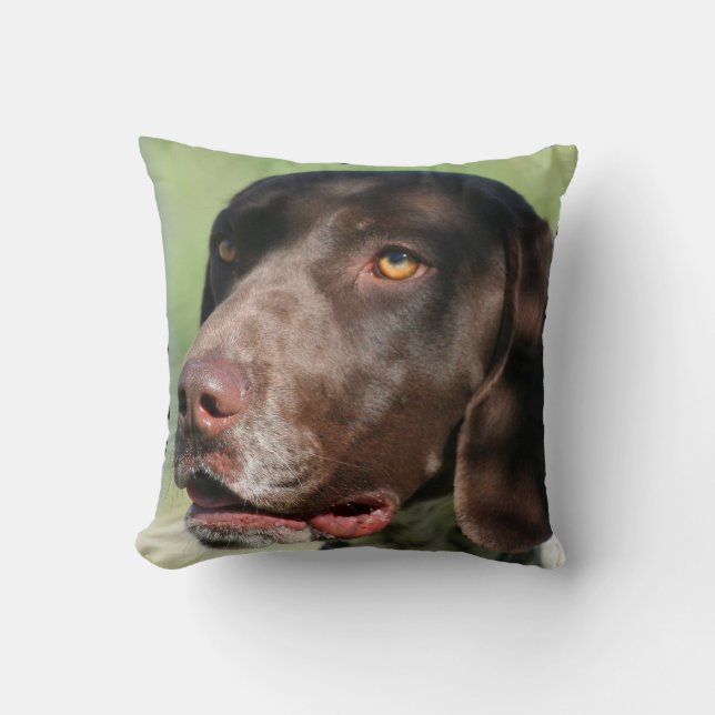 German Shorthaired pointer dog Cushion (Front)