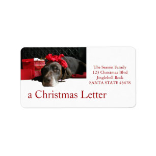 German Shorthaired Pointer @ fireplace Label