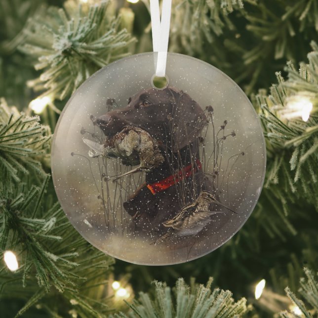 German Shorthaired Pointer Glass Tree Decoration (Insitu)