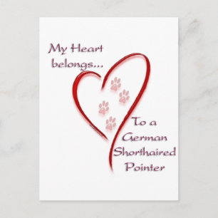 German Shorthaired Pointer Heart Belongs Postcard