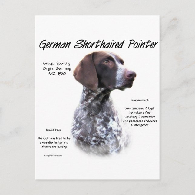 German Shorthaired Pointer History Design Postcard (Front)