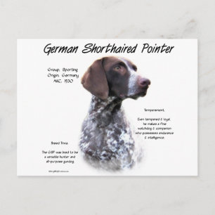 German Shorthaired Pointer History Design Postcard