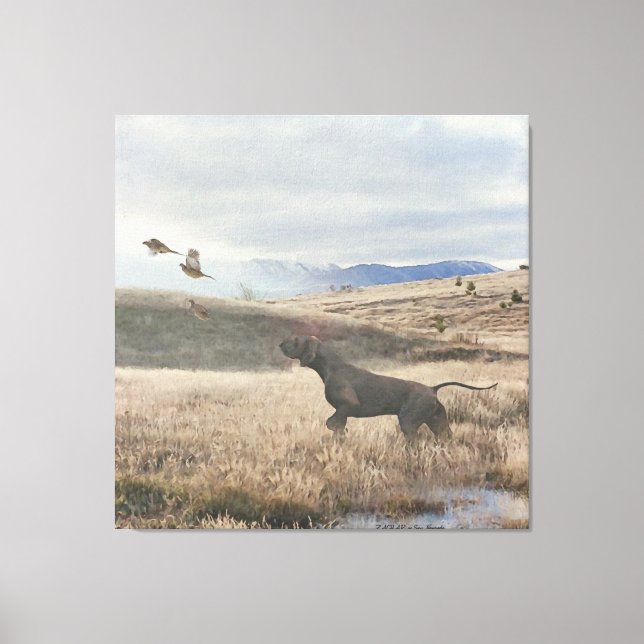 German Shorthaired Pointer hunt quail , Art  Canvas Print (Front)