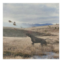 German Shorthaired Pointer hunt quail , Art