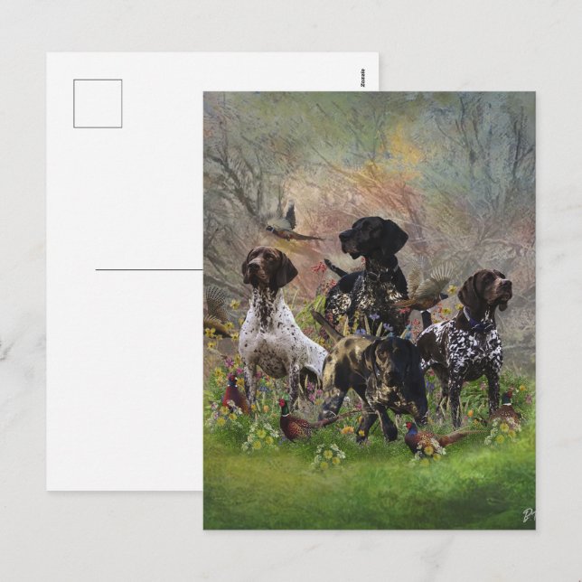German Shorthaired Pointer– Hunting Collection Holiday Postcard (Front/Back)
