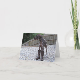 German Shorthaired Pointer in Boots Card