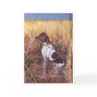 German Shorthaired Pointer in her Prime