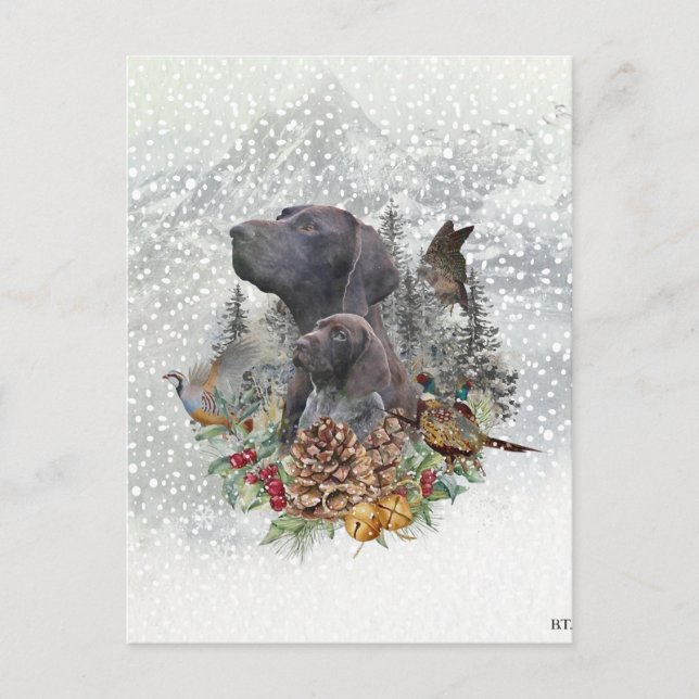 German Shorthaired Pointer in winter    Postcard (Front)