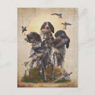 German Shorthaired Pointer Invitation Postcard
