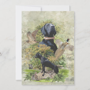 German Shorthaired Pointer,kurzhaar Invitation