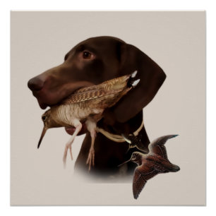 German Shorthaired Pointer,kurzhaar, Tapestry Poster