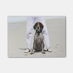 German Shorthaired Pointer - Luke - Riley Post-it Notes
