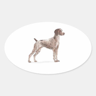 German Shorthaired Pointer Oval Sticker