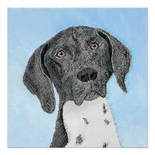 German Shorthaired Pointer Painting - Original Art Poster