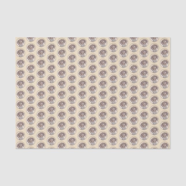German Shorthaired Pointer Painting - Original Art Tissue Paper (Front)