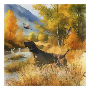 German Shorthaired Pointer  Photo Print