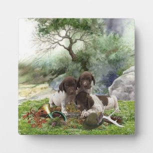 German Shorthaired Pointer    Plaque