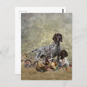 German Shorthaired Pointer Postcard