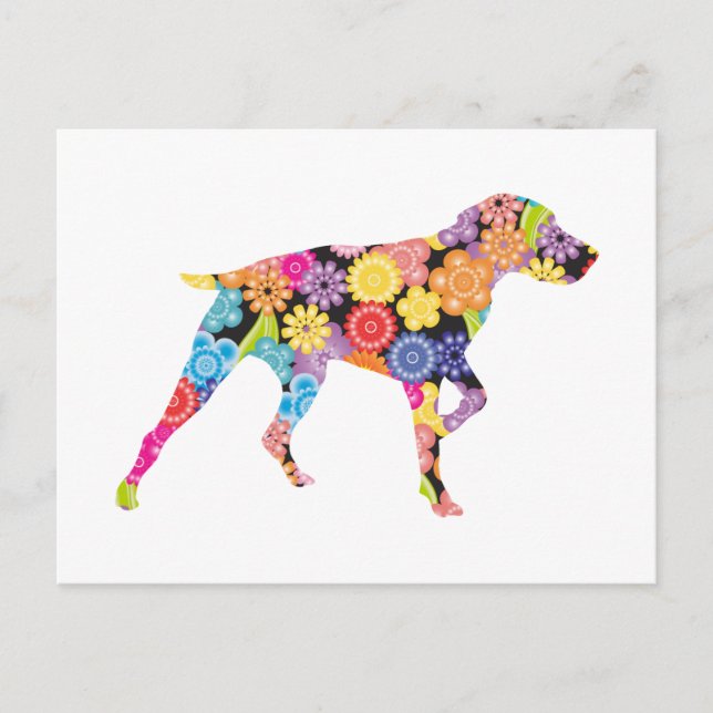 German Shorthaired Pointer Postcard (Front)