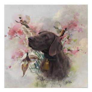 German shorthaired pointer poster