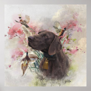 German shorthaired pointer poster