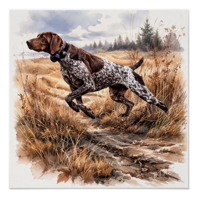  German Shorthaired Pointer  Poster (Front)