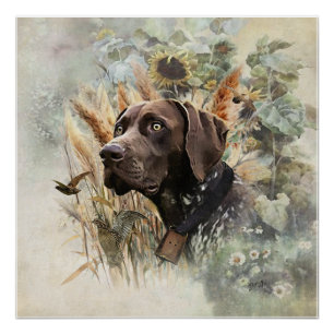 German Shorthaired Pointer Poster