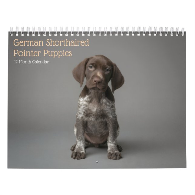 German Shorthaired Pointer Puppies 2027 Calendar (Cover)