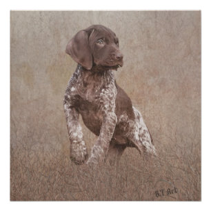 german shorthaired pointer puppy tapestry poster