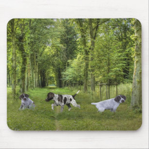 German Shorthaired Pointer Pups Mousepad