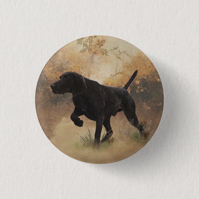 German Shorthaired Pointer ready to hunt Gift Box  3 Cm Round Badge (Front)