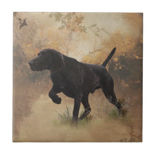German Shorthaired Pointer ready to hunt Gift Box Tile