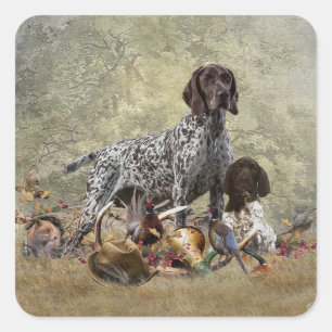 German Shorthaired Pointer   Square Sticker