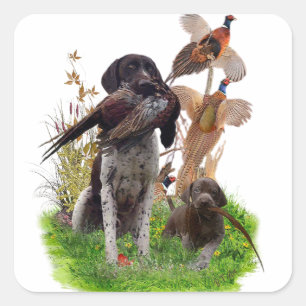 German Shorthaired Pointer    Sticker