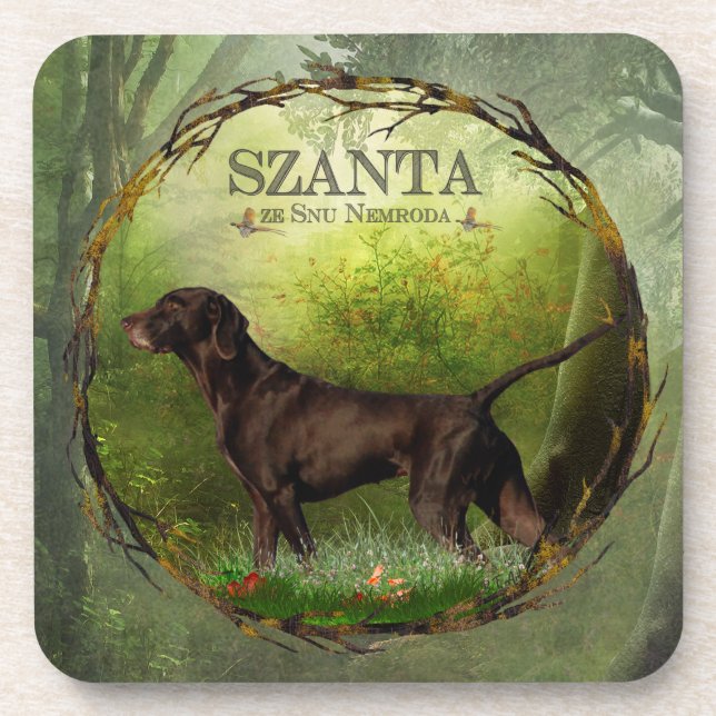 German Shorthaired Pointer ,,SZANTA from Nemrod's  Coaster (Front)