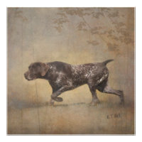 German Shorthaired Pointer Tapestry Poster Acrylic