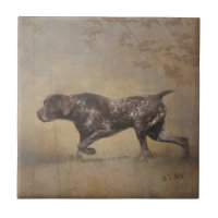 German Shorthaired Pointer Tapestry Poster Acrylic