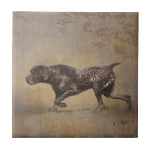 German Shorthaired Pointer Tapestry Poster Acrylic Tile