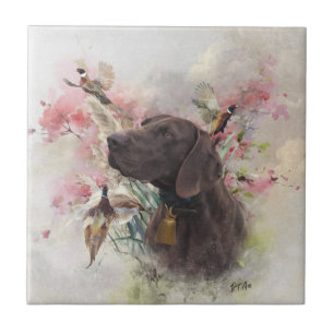 German shorthaired pointer  tile