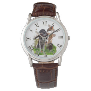 German Shorthaired Pointer Watch