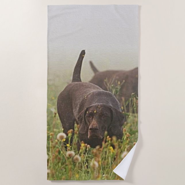 German Shorthaired Pointers  Beach Towel (Front)