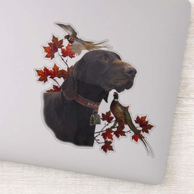 German Shorthaired Pointers (GSP)      (Detail)