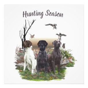 German Shorthaired Pointers (GSP), a hunting pheas Photo Print